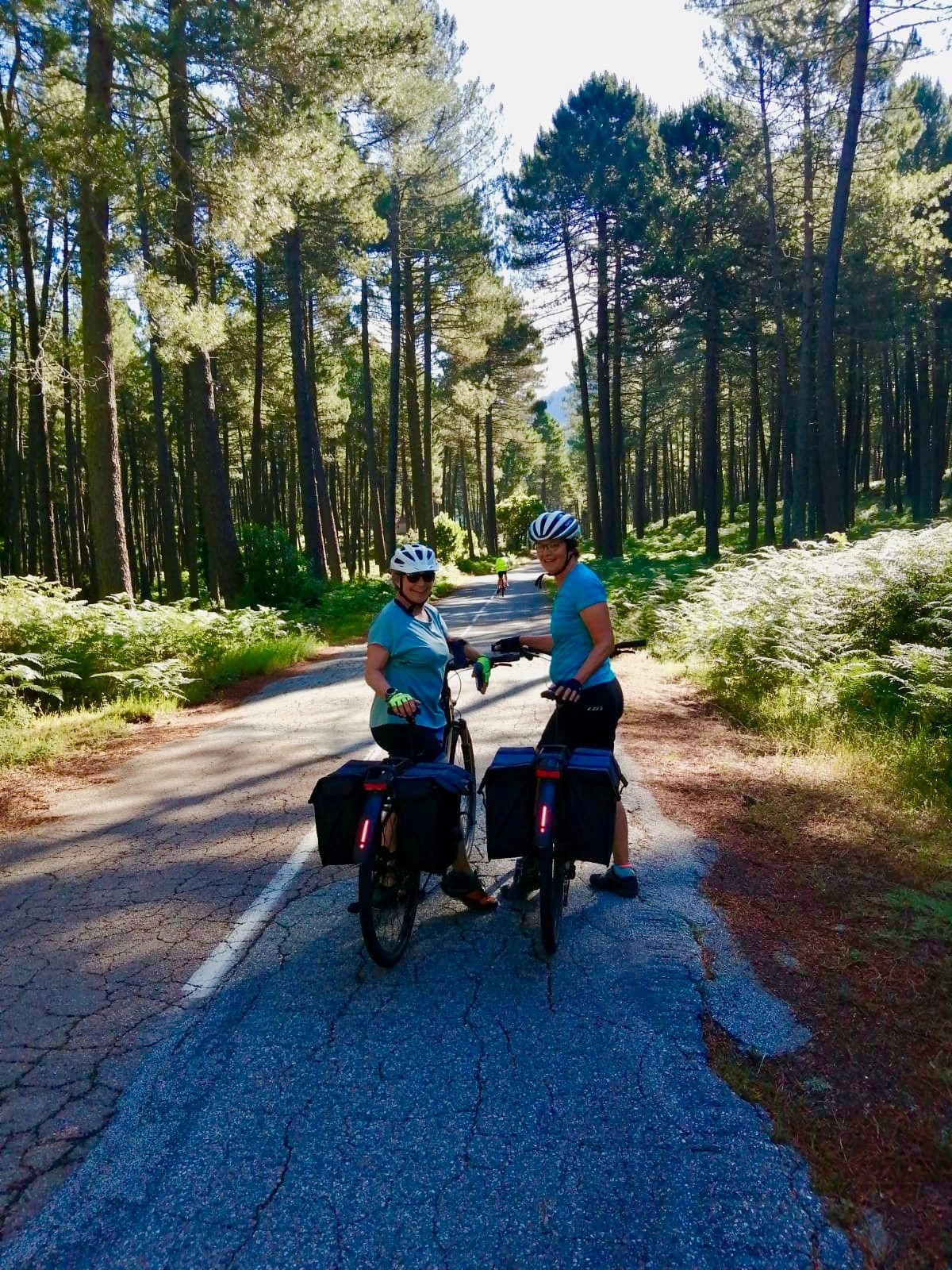 Vélos électriques pour les familles